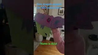 New dragon puppet called acid  (new Dragon puppet coming every 50 subscribers )￼￼