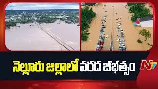 దిత్వా తుఫాన్ ఎఫెక్ట్.. నెల్లూరు జిల్లాలో వరద బీభత్సం | Cyclone Ditwah Effect In Nellore |NTV Telugu