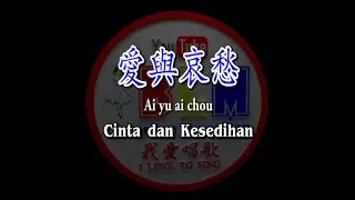 Ai yu ai chou - 愛與哀愁 - Karaoke - Terjemahan - Pinyin - Lyrics - Lirik