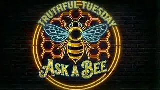 BBTV | Ask A Bee &mdash; Truthful Tuesday: When Being Strong Becomes Dangerous
