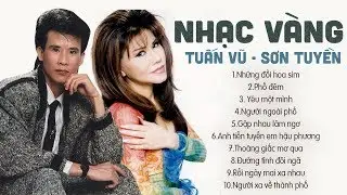TUẤN VŨ, SƠN TUYỀN - SONG CA ĐỂ ĐỜI HẢI NGOẠI | NHẠC VÀNG XƯA LỜI CA NGỌT NGÀO DỄ NGHE DỄ NGHIỆN