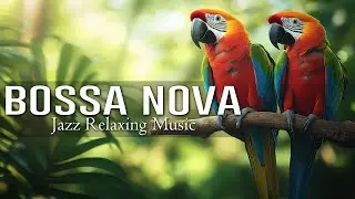 Soft Jazz Bossa Nova 🎶📚Jazz & Bossa Nova Bliss: Relax, Unwind, and Enjoy