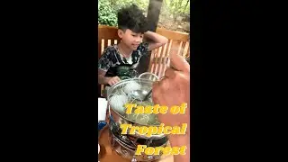 Tropical Dining Delights 🍽 Exploring Exotic Flavors
