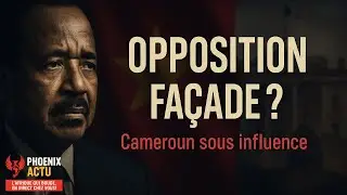 Tension  Phoenix Actu &ndash; Opposition Camerounaise  Dissidence R&eacute;elle Ou Fa&ccedil;ade Politique