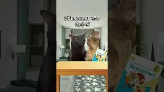 люди , я в 7 классе, а не в 1 . Те ,кто пишут такие комментарии, подумайте сначала ,пожалуйста
