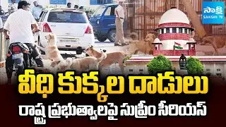మేనకా గాంధీపై సుప్రీంకోర్టు ఆగ్రహం || Suprem Court Serious on Stray Dog ​​Attacks || @SakshiTV