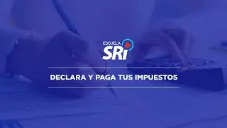 Video 5 - DECLARA Y PAGA TUS IMPUESTOS