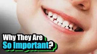Why Do We Have Baby Teeth? | The Fascinating Science Behind Our First Set of Chompers