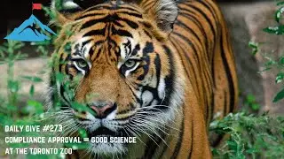 Daily Dive # 273 | Compliance Approval = Good Science at the Toronto Zoo