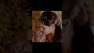 Manje Bistre Best Scene #short #punjabifilm #manjebistre #clips #gippygrewal #sonambajwa