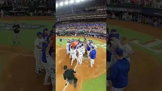POV: You just hit a #walkoff home run in the #WorldSeries.