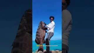 Monster Grouper Caught After Fish Frenzy! #shorts #fishing #fish