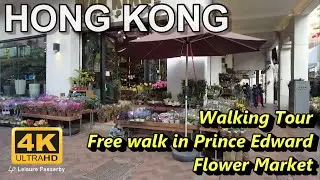 [4K] Hong Kong, Walking Tour free walk in Flower Market, Prince Edward .