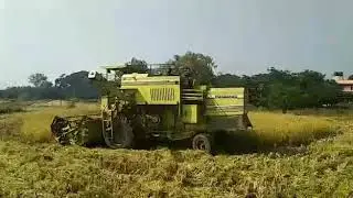Sukh Agro Farm rice harvesting