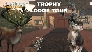 Trophy lodge tour many Rares, Diamonds & Great Ones