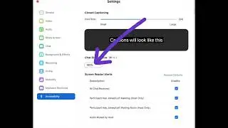Accessibility Settings on Zoom