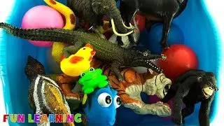Learn Colors Wild Animals Names For Children to Learn with Fun Animal Toys Video