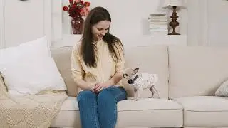 RICIVI Anti-Bark Collar for Small Dogs | Best Barking Collars for Small Dogs