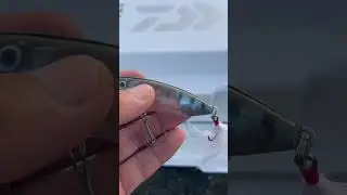 Shimano WorldPop 69F FlashBoost.
