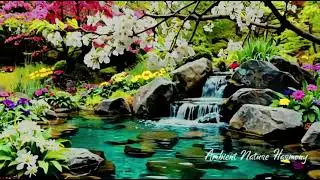 Deep Relaxing Music for Stress Relief, Calm Mind & Better Sleep
