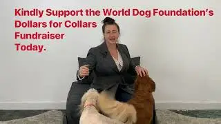 🐾 Join The World Dog Foundation in Supporting Service Dogs with Dollars for Collars! 🐾