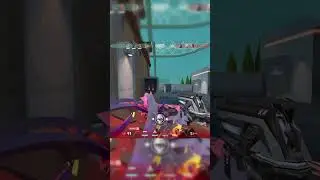 Vyse's SHOCKING Secret Revealed