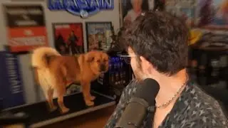 Hasanabi's Dad Bought Dog Perfume for Kaya (She Hates It)