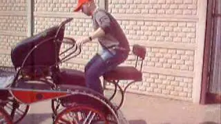 op17 dickey seat for horse carriage www.kutzmann.pl