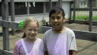 Preview of Shawnee Town's Field Trips