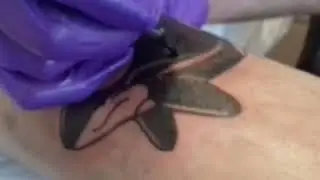Stealth 2 Rotary Tattoo Machine Self-tattoo ORCA