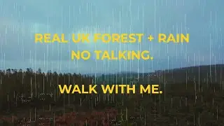 Rainy UK Forest Walk ASMR | No AI &ndash; Birds Footsteps (Sleep/Study)