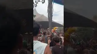 about more epic moments ozora #psytrancefestival #psytrancefamily #psytrancemusic