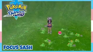 Where To Find Focus Sash In Pokemon Sword & Shield | Location Quick Guide