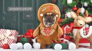 NACHOO'S REVENGE - SLURRED SPEECH