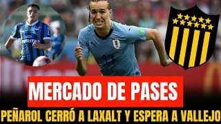 🔴 MERCADO DE PASES EN PEÑAROL || LAXALT NUEVO JUGADOR CARBONERO