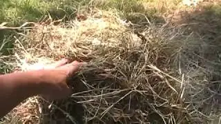 Making Hay Bales by Hand ~ No Machinery