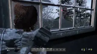 Sorry Mr Bear, i had other plans for you!