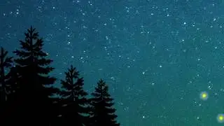 Night in the Woods