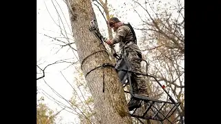 Dustin Beck  Tree Stand Safety