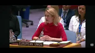 UN80 Security Council meeting. European Union
