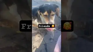 Friends 🥰 #pokemongo #pokemongocommunity #pokemongofan #fypyoutube #fypyt #fypage #fyp