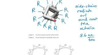 D Alpha helix main chain 200807