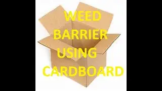 Weed Barrier Using Cardboard