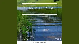 Virgin Natural Tunes for REM Dreams pt. 2 (feat. Ambient Nature Project, Mother Nature FX &...