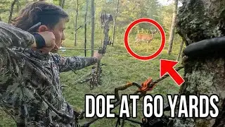 I SHOT A DEER AT 60 YARDS! (unbelievable shot) *bow hunting