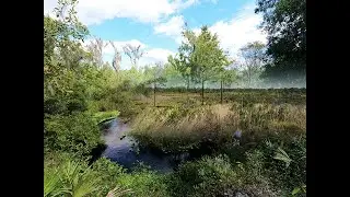 Hiking at Tiger Creek Preserve