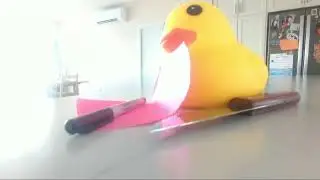 The killer duck a horror movie with lots of laughs 😂
