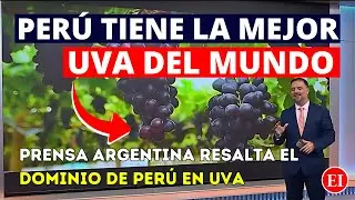 Peru is once again the largest exporter of grapes, and the international press recognizes it.