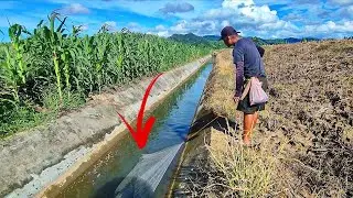 JALA IKAN DI SALURAN IRIGASI KECIL, TIDAK DI SANGKA HASILNYA BISA BEGINI.‼️ fishing nets