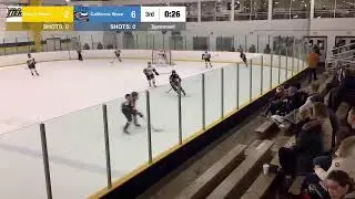 2013 Erie Jr Otters Vs California Wave
